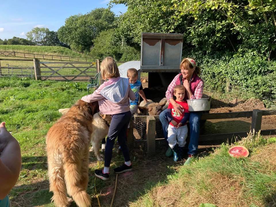 Kids enjoying feeding animals
