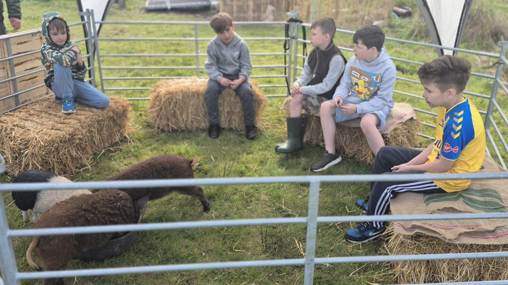 Children interacting with therapy animals